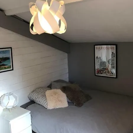 Sublime 160 M2 With Garage-Garden-Wifi-Jacuzzi Anglet